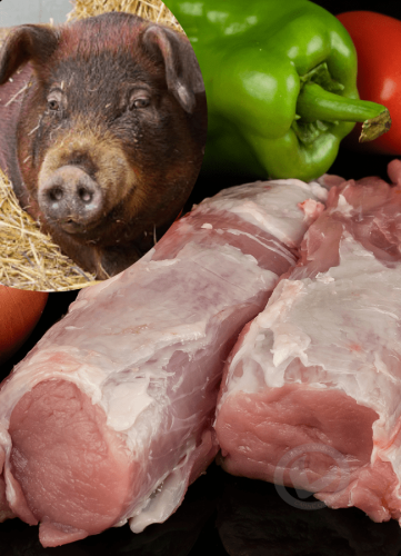 Solomillo de cerdo Duroc Vuelta y Vuelta. También aparece un cerdo duroc, para ver cómo es la raza, de color parda